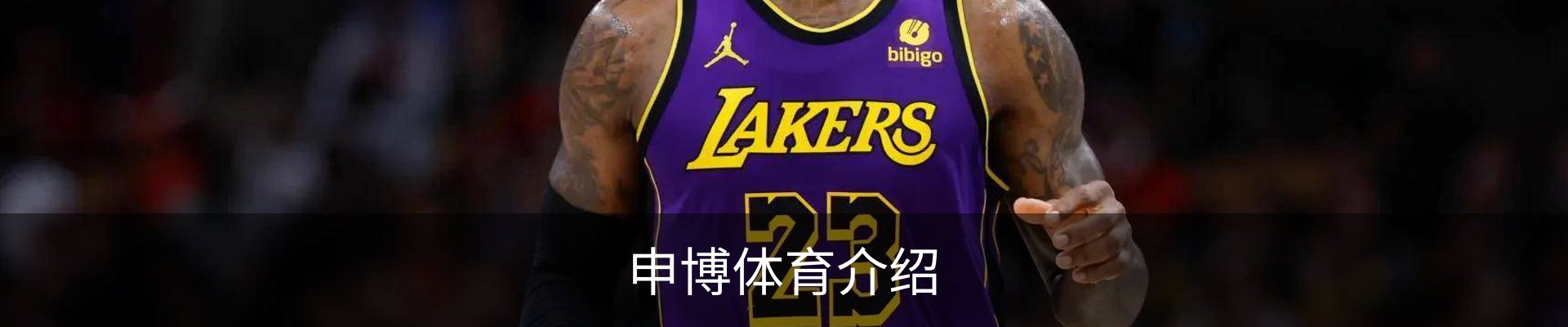 申博体育介绍
