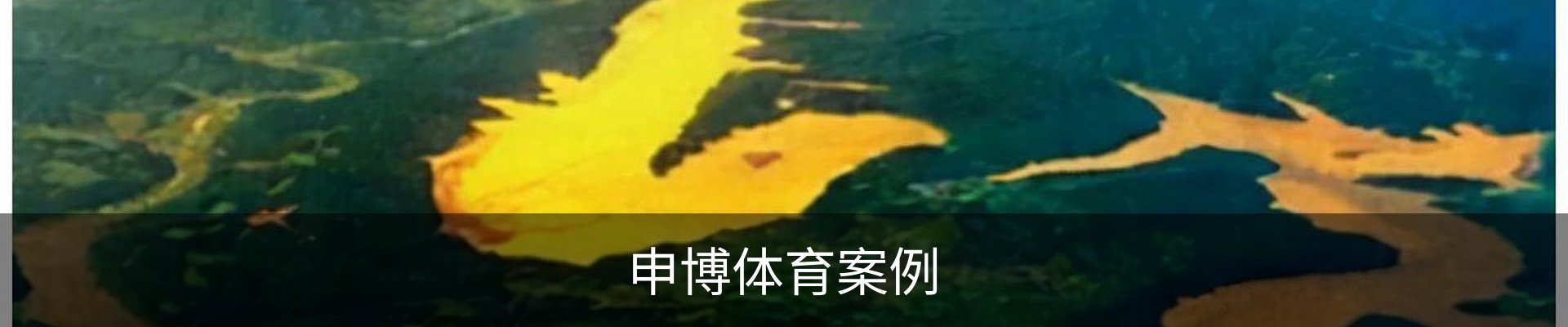 申博体育案例
